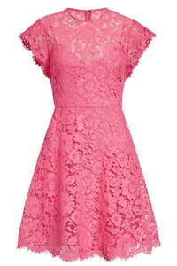 Valentino Garavani Floral Lace Fit & Flare Mini Dress Pink IT 48 / US 12 - Italy - Picture 1 of 4