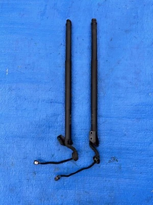 Juego de 2 puntales de cilindro de puerta levadiza eléctrica para Nissan Murano 2015-2019 izquierda derecha Foto 1 de 4