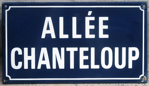 Old vintage French enamel steel street sign plaque road singing howling wolf Cover