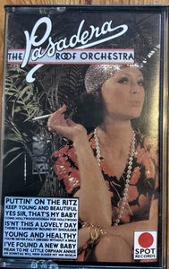 1983 SPOT RECORDS CASSETTE TAPE THE PASADENA ROOF ORCHESTRA PUTTIN' ON THE RITZ - Picture 1 of 1