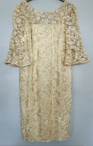 BNWT Embroidered Lace, Wedding, Special Occasion Dress. Adrianna Papell 20 (16) - Picture 1 of 16