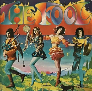 The Fool - The Fool (LP) (VG-/VG) - Picture 1 of 1