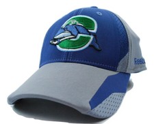 Connecticut Whale Reebok TZT82 AHL Practice Cap Flex Fit Hockey Cap Hat  Blue
