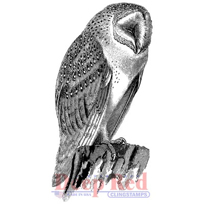 Deep Red Stamps Barn Owl Rubber Cling Stamp - Image 1 of 4