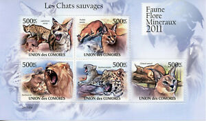 Comoros Wild Animals Stamps 2011 MNH Lions Leopards Caracal Big Cats Fauna 5v MS