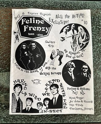 Feline Frenzy Teen 'zine  issue #10 July 1996, Great Condition!! - Image 1 of 4