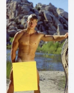 FOX STUDIOS *KEVIN SHARPE 8X10" COLOR PRINT * FOX STAR NO. 5 - Picture 1 of 1