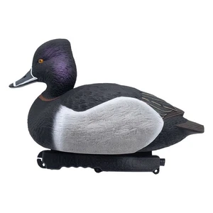 Ringneck Duck Decoys - 6 Pack - Picture 1 of 7