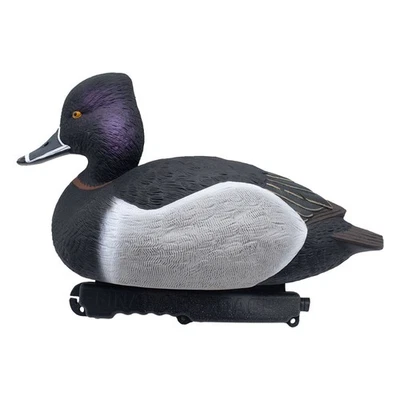 Ringneck Duck Decoys - 6 Pack - Image 1 of 4