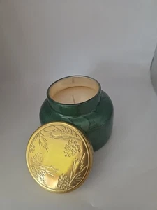 NEU Anthropologie Capri blaue Tanne & Brennholz Glas Kerze 19 Unzen - Bild 1 von 4