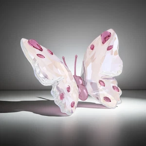 Swarovski 5691959 Idyllia small Pink butterfly Figurine NEW - Picture 1 of 3