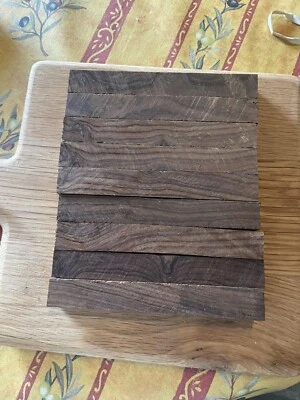 Desert Ironwood Olneya Tesota Sonora Desert USA-MEXICO - image 1 of 2