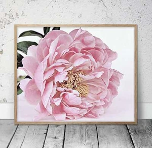 Arte de pared de peonía rosa, imprimible de flores, estampado de peonía, flores estampado de decoración del hogar - Imagen 1 de 5