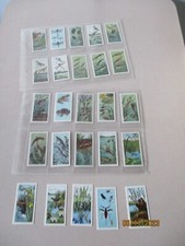 Bishops Stortford Dairy Farmers Pond Life 1966 Full Set of 25 Cards in sleeves