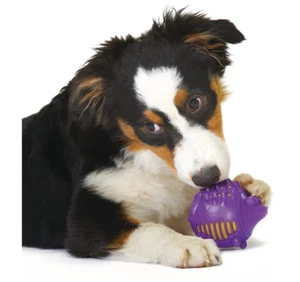 Petstages SML Dog Upward Unpredictable Flight & Bounce fetch & Carry rubbery Toy - Picture 1 of 4