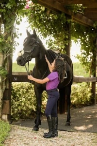 Ice Equestrian Horse Riding Pull On Breeches Navy. Age 7- 14 - Picture 1 of 6