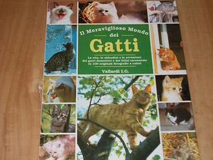 IL MERAVIGLIOSO MONDO DEI GATTI  VALLARDI I.G.1991 - Picture 1 of 1