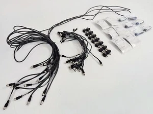 12 X Schmersal Berührungsloser Sicherheitsschalter W/ Kabel & ; Sd-Y Adapter Lab - Bild 1 von 11