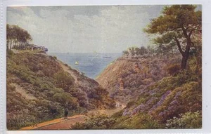 (w14t69-355) A.R.QUINTON (ARQ) Durley Chine BOURNEMOUTH c1920 Unused VG-EX, *918 - Picture 1 of 1