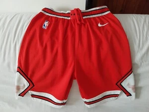CHICAGO BULLS NBA NIKE SHORTS TIGHT SIZE MEDIUM - Picture 1 of 4