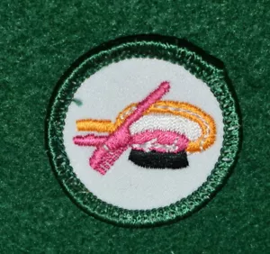 GIRL SCOUT WORLDS TO EXPLORE BADGE - GREEN - LOOKING YOUR BEST - FREE SHHIPPING - Picture 1 of 2