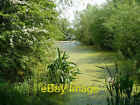 Photo 6X4 Finger Lake, Priory Country Park Bedford/Tl0549  C2008