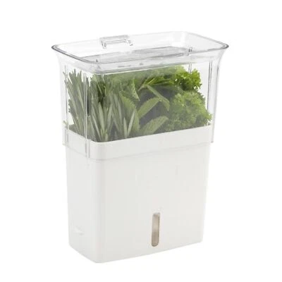 Fresh Herb Keeper Acrylic Herb Storage Container For Refrigerator Fridge Herb St - Image 1 of 4