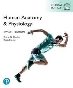 Human Anatomy & Physiology 12e by Elaine N. Marieb Global Edition softcover - Imagen 1 de 1