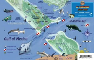 St. Andrews State Park & Jetties Waterproof Fish Card - Bild 1 von 2