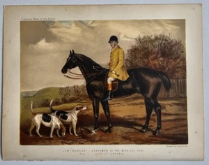 1876 Antique Horse Print JEM MORGAN Fox Huntsman Berkeley Hunt Chromo Sidney - Picture 1 of 1
