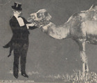 1907 Man Camel Alcohol Sent to Panama Canal Zone DB Vintage Postcard