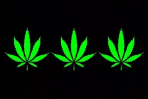 MARIJUANA POT LEAF Wholesale Lot 3 Vinyl Decal Stickers Window Bumper 3.5” - Picture 1 of 9