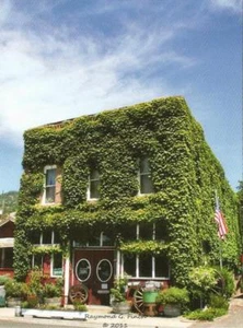 Postcard Oregon Gold Hill Ivy-Covered Antique Store Jackson County MINT Unused - Picture 1 of 1