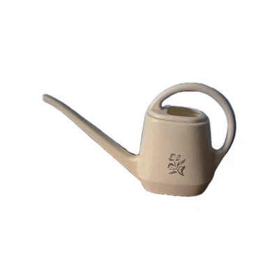 Regadera vintage retro de plástico blanco con flor plateada Foto 1 de 4