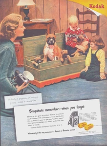 1951 Eastman Kodak Original Life Magazine Vintage Print Ad Boxer Dog & Puppies - Picture 1 of 1