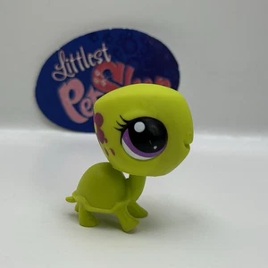 TURTLE #3524 - Auténtica tienda de mascotas Littlest - Hasbro LPS - Imagen 1 de 4