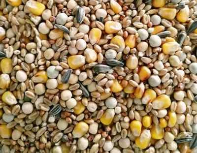 Taubenfutter von Matador Sondermischung Spezial 5 kg - Bild 1 von 2