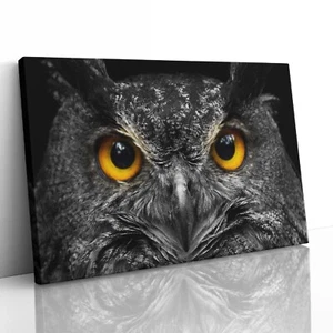 Owl Staring Cute Canvas Print Picture Framed Wall Art Poster Paper Close Up - Picture 1 of 23