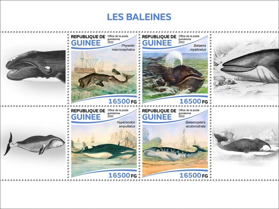Марки Гвинеи 2022 как новые без наклеек и следов киты почти как новые - Изображение 1 из 1