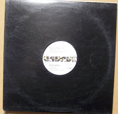 JANET JACKSON - MISS YOU MUCH - 1989 12" PROMOTIONAL SINGLE LP VINYL RECORD - Image 1 of 2