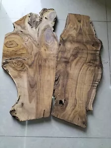 2 x live edge slice of indien teak wood burl wood high grains for casting craft - Picture 1 of 4