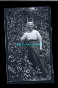 black and white negative - lady wearing glasses next to tall plant in garden - Picture 1 of 3