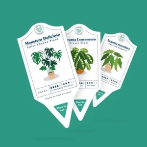 Juego de etiquetas para el cuidado de plantas de interior - Imagen 1 de 3