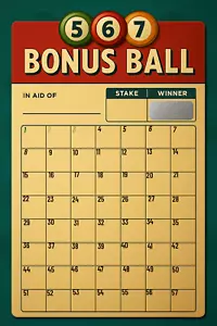 Bonus Ball Fundraising Scratch PREMIUM Card - 56 Square - ENVELOPE SIZE - Picture 1 of 4