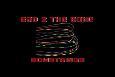 2010-2011 Hoyt Bow String and Cable set  - Image 1 of 2