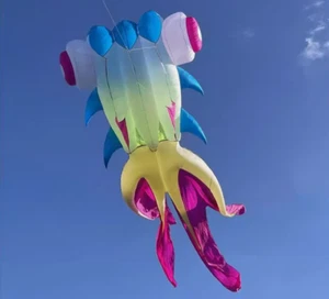 5m großer weicher Fischdrachen Outdoor Spielzeug Fliegen Erwachsene Rolle aufblasbar Oktopus Drachen - Bild 1 von 3