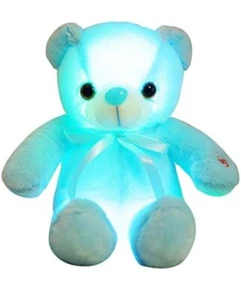 Light Up Plush Teddy Bear - Picture 1 of 7
