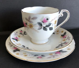 Royal Grafton Carefree Bone China Tea Cup Saucer And Side Plate - Picture 1 of 8