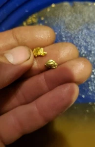 1 GRAM BONUS NUGGETS California Gold Panning Paydirt Trommel Concentrates - Picture 1 of 12
