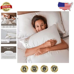 Luxury King Size Goose Down Pillow - 500 TC Soft Cotton Cover, Medium Firmness - Picture 1 of 8